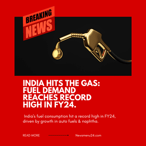 india fuel demand